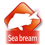 Sea bream