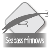 Lure = Jig heads / Seabass minnows