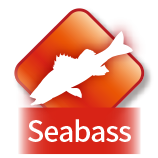 Seabass