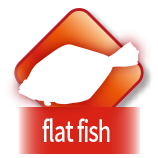 flat fish