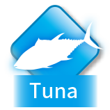 Tuna