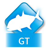 GT (Giant trevally)