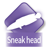 Sneak head